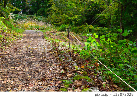 獣対策 鈴ロープ 獣対策 鈴ロープ 132872029