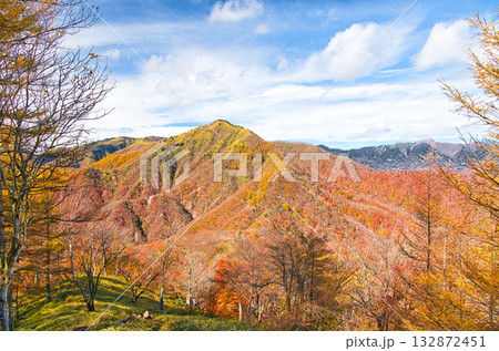 栃木県日光市　秋の紅葉に染まる社山 132872451