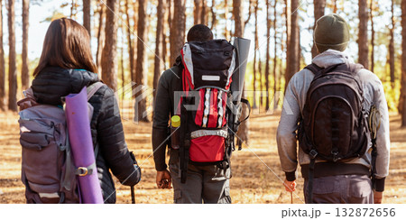 Closeup of three multiracial backpackers walking by pine forest Closeup of three multiracial backpackers walking by pine forest 132872656