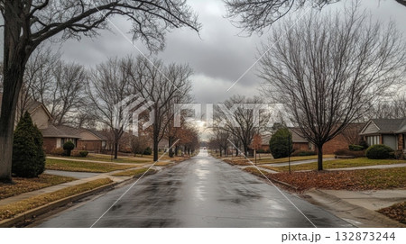 A serene suburban street is captured on a cloudy autumn afternoon. Trees stand bare, their leaves fallen, while rain-soaked pavement reflects the muted light and adds to the tranquil atmosphere. 132873244