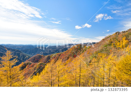 栃木県日光市　秋の紅葉に染まる足尾方面の山々 132873395