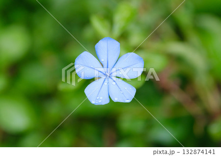 無人 水 水分 132874141