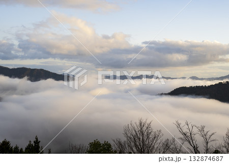 兵庫県朝来市の竹田城と雲海 132874687