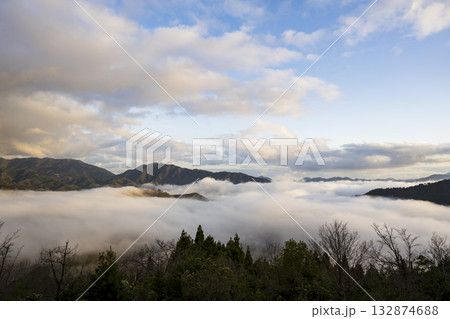 兵庫県朝来市の竹田城と雲海 132874688