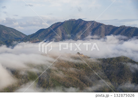 兵庫県朝来市の竹田城と雲海 132875026
