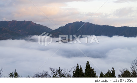 兵庫県朝来市の竹田城と雲海 132875056