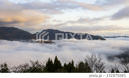 兵庫県朝来市の竹田城と雲海 兵庫県朝来市の竹田城と雲海 132875065