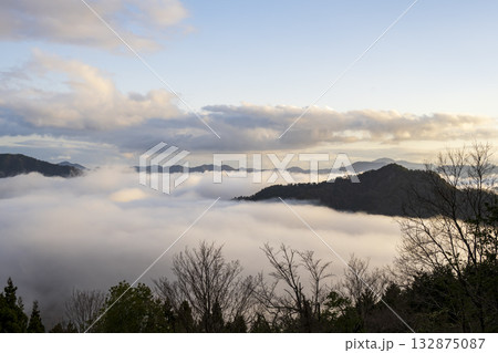 兵庫県朝来市の竹田城と雲海 132875087