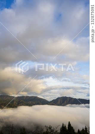 兵庫県朝来市の竹田城と雲海 132875091