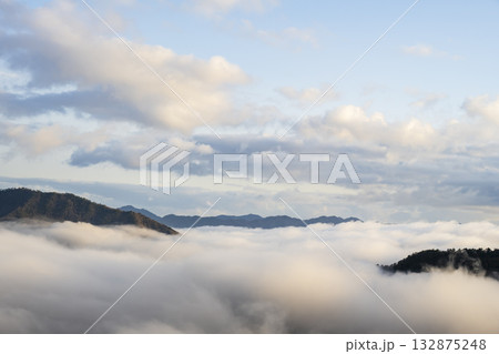 兵庫県朝来市の竹田城と雲海 132875248