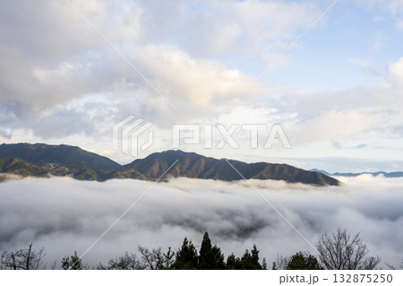兵庫県朝来市の竹田城と雲海 132875250