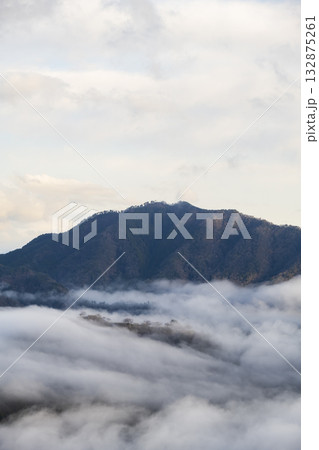 兵庫県朝来市の竹田城と雲海 132875261