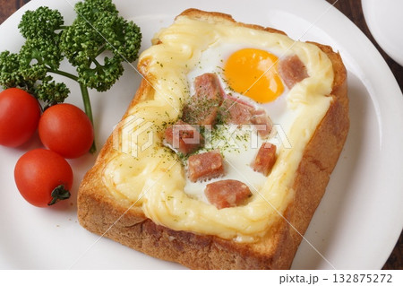 ピザトースト 132875272