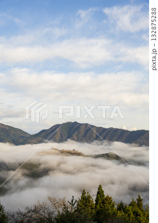 兵庫県朝来市の竹田城と雲海 132875288