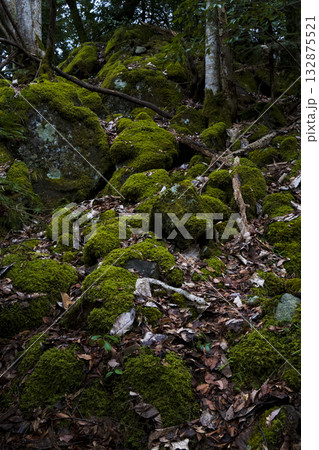 朝来市和田山町の風景 朝来市和田山町の風景 132875521