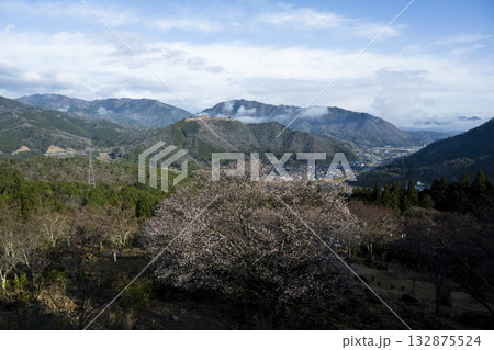 朝来市和田山町の風景 132875524