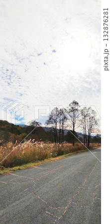 ススキのある景色 ススキのある景色 132876281