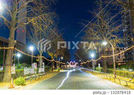 イルミネーションのふれあいの径 光が丘公園 東京夜景 イルミネーションのふれあいの径 光が丘公園 東京夜景 132876418