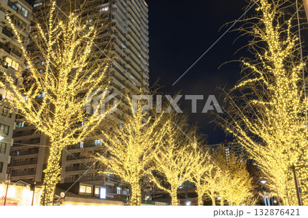 イルミネーションのふれあいの径 光が丘公園 東京夜景 イルミネーションのふれあいの径 光が丘公園 東京夜景 132876421