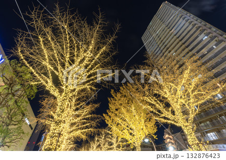 イルミネーションのふれあいの径 光が丘公園 東京夜景 イルミネーションのふれあいの径 光が丘公園 東京夜景 132876423