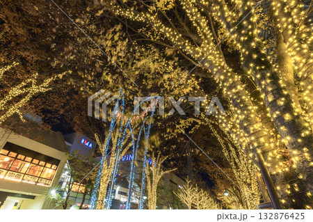 イルミネーションのふれあいの径 光が丘公園 東京夜景 イルミネーションのふれあいの径 光が丘公園 東京夜景 132876425