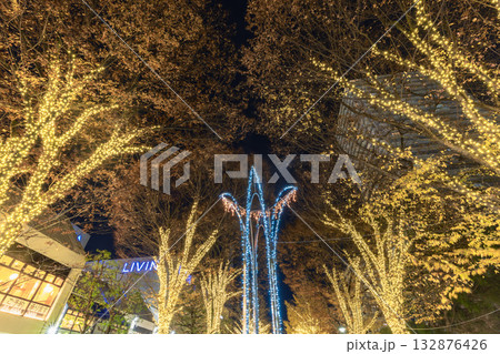 イルミネーションのふれあいの径 光が丘公園 東京夜景 イルミネーションのふれあいの径 光が丘公園 東京夜景 132876426