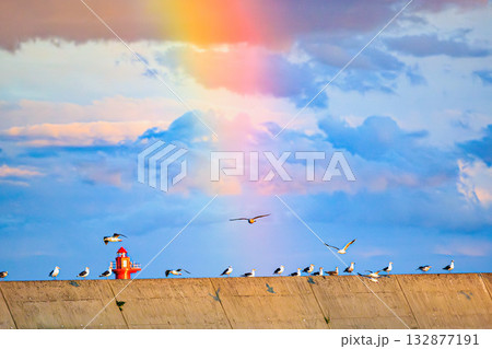 虹の下を飛ぶカモメたちの港景 132877191