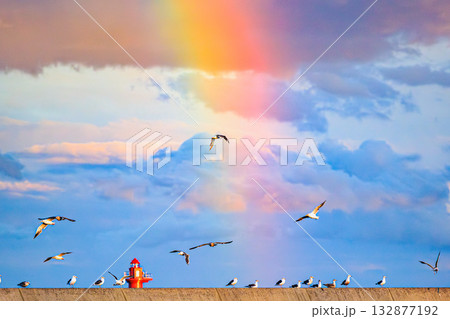 赤灯台とカモメが彩る海辺の風景 132877192