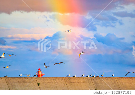 夕空に現れた虹と海鳥の群れ 132877193
