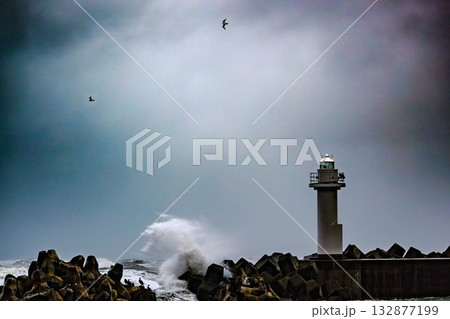荒波に耐える灯台と海鳥 132877199