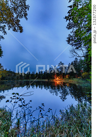 静かな沼に映る深い森の紅葉 静かな沼に映る深い森の紅葉 132877200