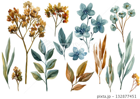 Watercolor Botanical Set with Blue and Brown Leaves and Flowers, Hand Painted Floral Clipart Collection on White Background 132877451
