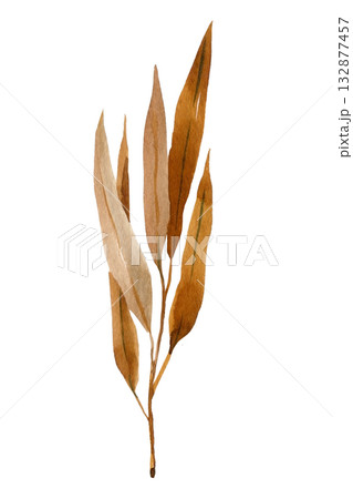 Watercolor Brown Autumn Leaves Branch Illustration, Hand Painted Fall Foliage Botanical Artwork for Seasonal Decor 132877457