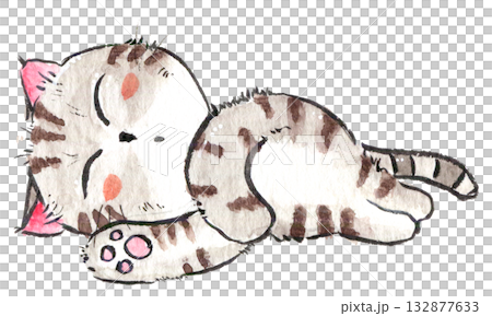 筆ペンと水彩で描いた寝ている猫の手書きイラスト 132877633