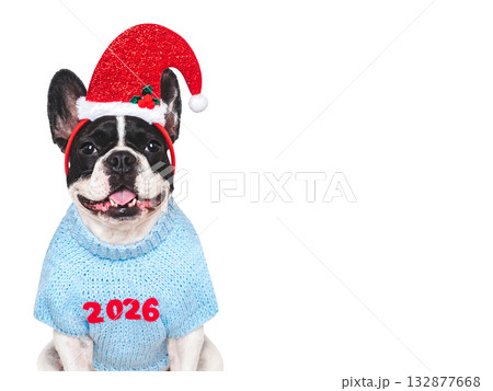 Merry Christmas and Happy New Year. Cute puppy Merry Christmas and Happy New Year. Cute puppy 132877668