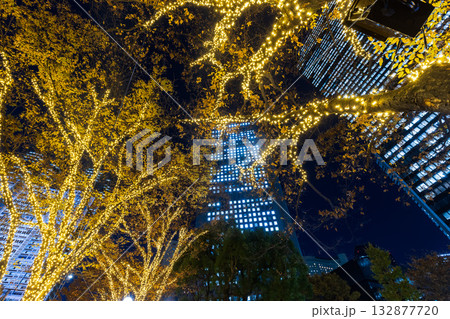 イルミネーションの新宿副都心　東京夜景 132877720