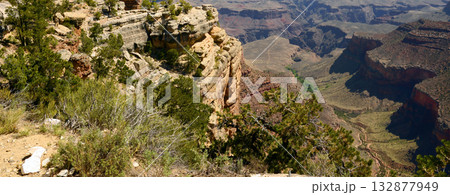 Grand Canyon Arizona Grand Canyon Arizona 132877949