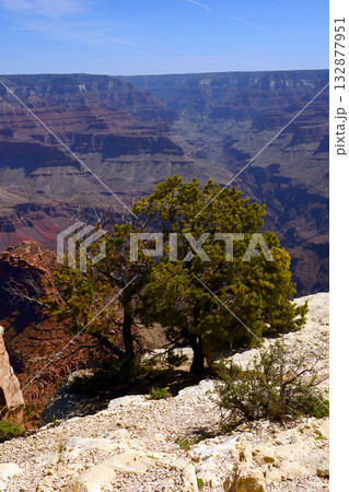 Grand Canyon Arizona 132877951