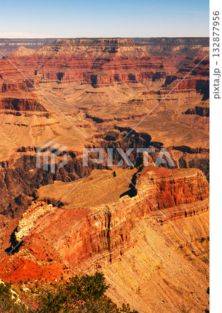 Grand Canyon Arizona Grand Canyon Arizona 132877956