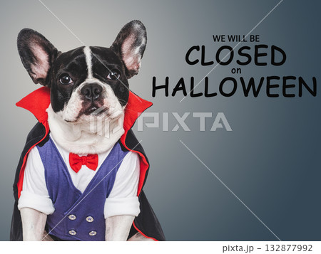 Signboard with the inscription We will be closed on Halloween Signboard with the inscription We will be closed on Halloween 132877992