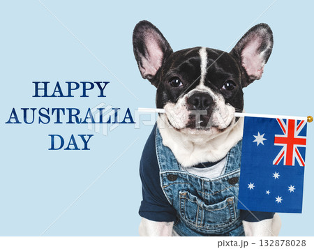 Happy Australia Day. Cute puppy and Australian Flag Happy Australia Day. Cute puppy and Australian Flag 132878028