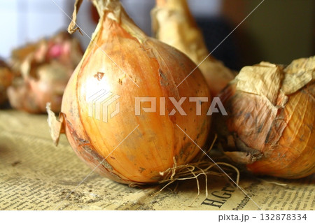 まるごと玉葱 まるごと玉葱 132878334