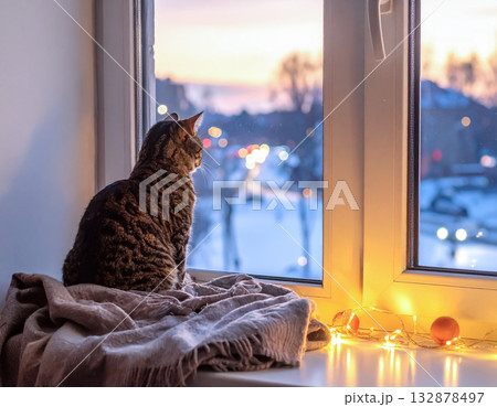 窓辺の猫 132878497