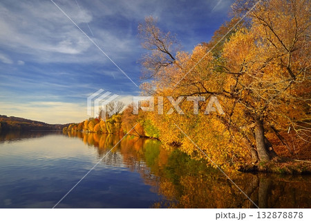 Autumn background with colorful trees. Nature with landscape. Seasonal concept for fall. 132878878