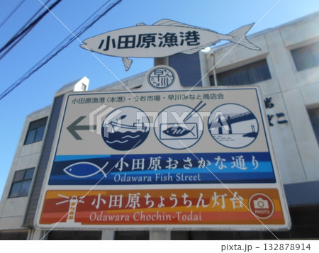 小田原おさかな通りその1 小田原おさかな通りその1 132878914