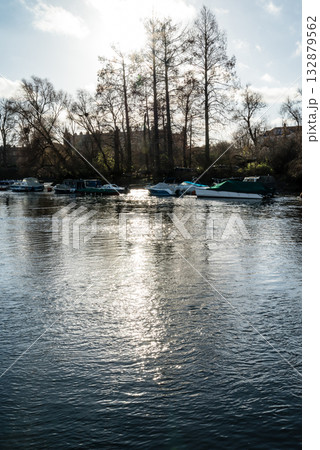 冬の明るい日差しの下のテームズ川に浮かぶ船とカモメと遠くに見える石橋　ロンドン郊外のリッチモンドにて 132879562