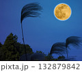ススキと月 132879842