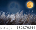 すすき野原と月 132879844