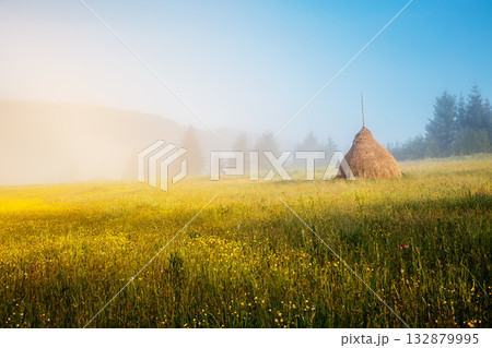 Fantastic morning scene Fantastic morning scene 132879995