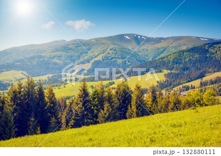 Fantastic summer scene 132880111